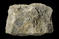 Sandstone Collection Image, Figure 7, Total 8 Figures